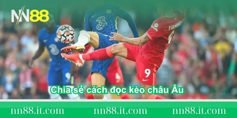 Chia sẻ cách đọc kèo châu Âu chuẩn xác chi tiết từ A-Z 2 chia-se-cach-doc-keo-chau-au-chuan-xac