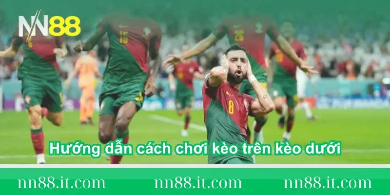 Tổng hợp mẹo chơi kèo trên kèo dưới như cao thủ lâu năm 2 huong-dan-cach-choi-keo-tren-keo-duoi