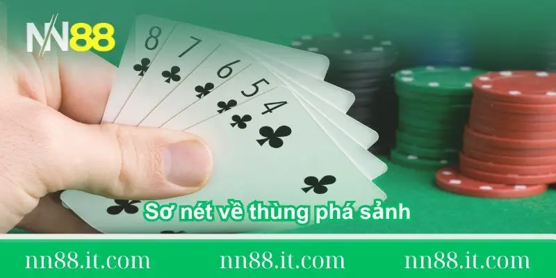 Thùng phá sảnh – Sức mạnh tuyệt đối trong Poker tại NN88 1 khai-quat-so-net-ve-thung-pha-sanh
