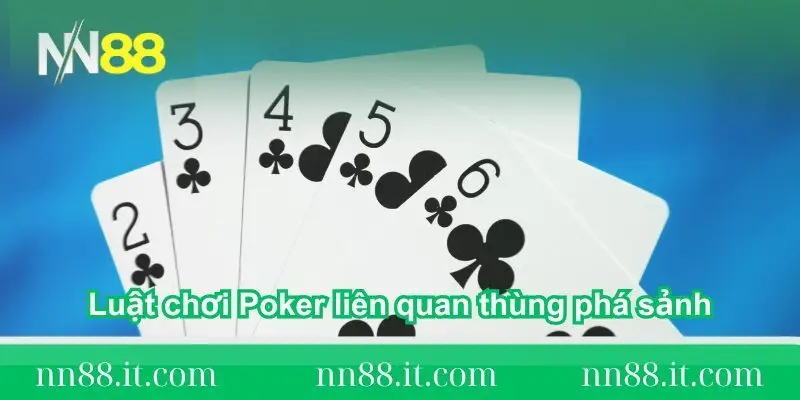 Thùng phá sảnh – Sức mạnh tuyệt đối trong Poker tại NN88 2 luat-choi-poker-lien-quan-thung-pha-sanh