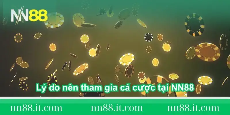Lý do nên tham gia cá cược tại NN88