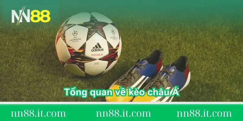 Kèo châu Á là gì? Hướng dẫn và chiến thuật đặt cược 1 tong-quan-ve-keo-chau-a-la-gi